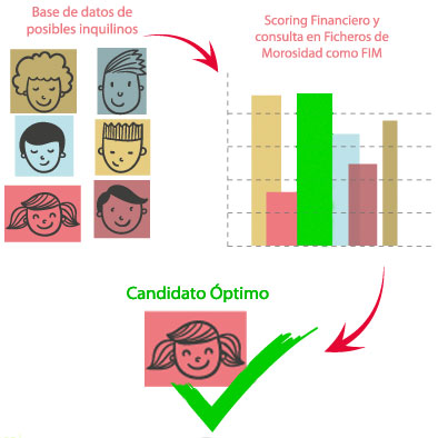 flujo selección inquilino